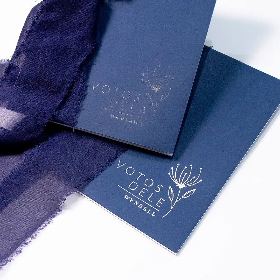 Petrim Marinho - p251018-1122 - 1080x1080 2 Caderno de Votos - Petrim Marinho